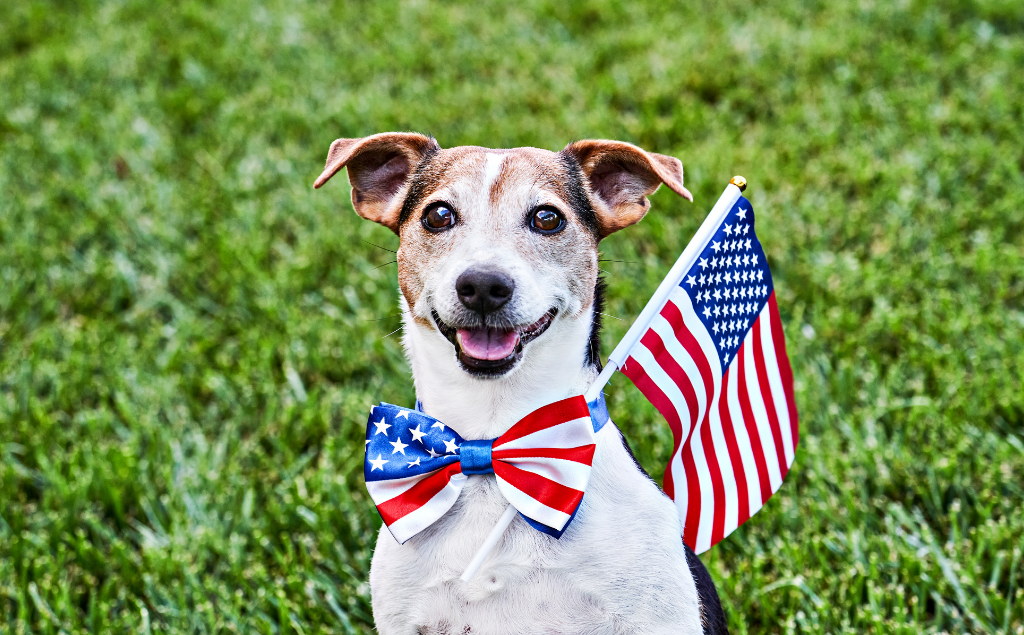 Memorial Day Safety Tips