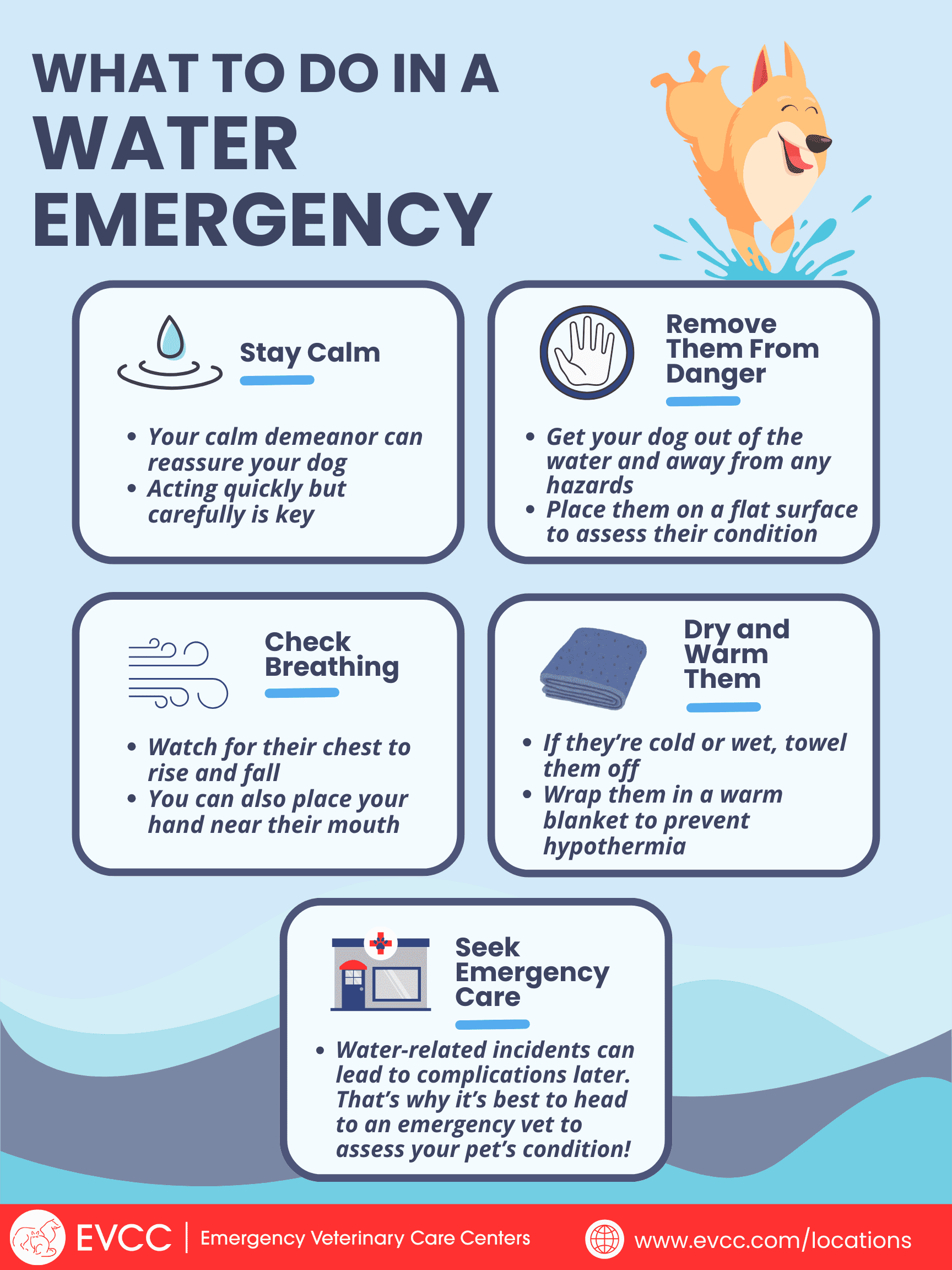 Water Emergency Infographic, dog water safety tips