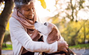 When is Humane Euthanasia the Right Call? | EVCC Blog