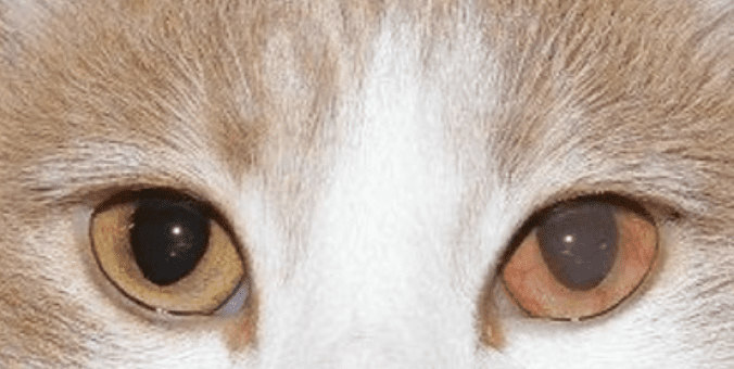 Screenshot 2025 11 06 131937