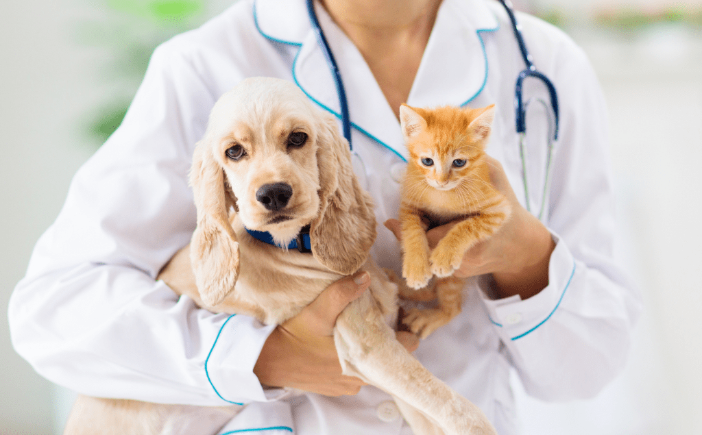 GLP-1 Exposure in Dogs and Cats | EVCC